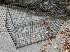 caisse pour chien