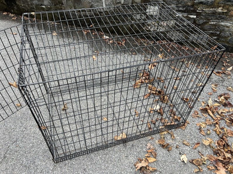 dog crate