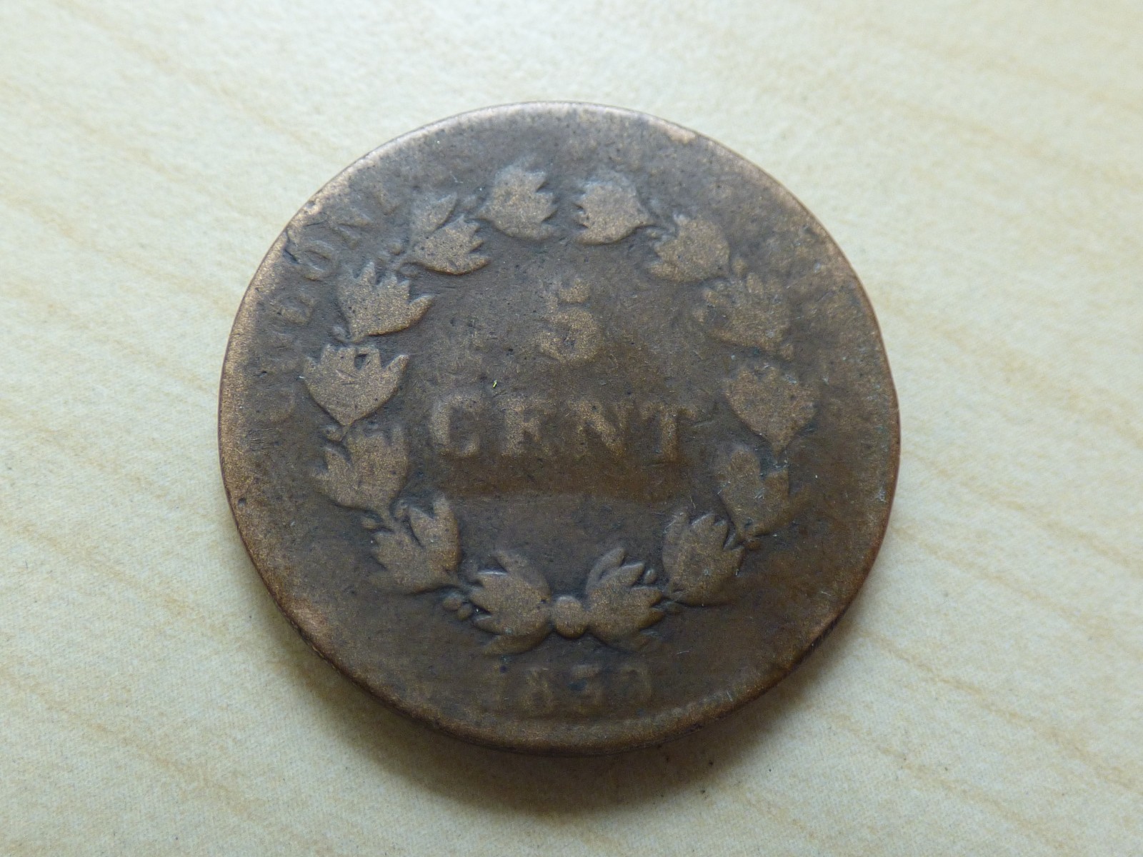 Bild 50 von 150