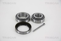 Triscan Radlagersatz 8530 16254 FüR Ford