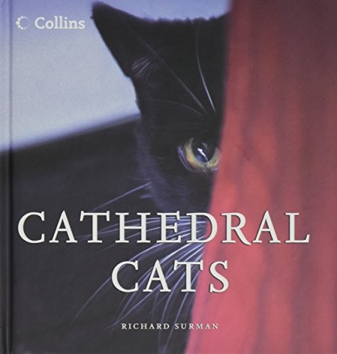 Новая книга Xcathedral Cats Mini Ed Bks (ИМПОРТ ИЗ Великобритании)