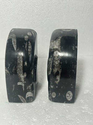 Schwerer schwarzer Marmor Ammonit Goniatit Orthoceras Fossil Buchstützen Buchstützen 2kg