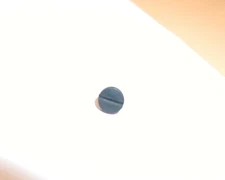 Taurus PT-25 .25 Auto -  Grip Screw