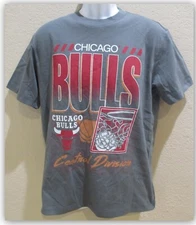 Chicago Bulls Central Division tshirt 100% Cotton Quality Midweight Short Sleeve