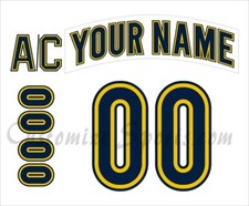 NCAA U of Michigan Customized Number Kit For2007-2008 White Hockey Uniform