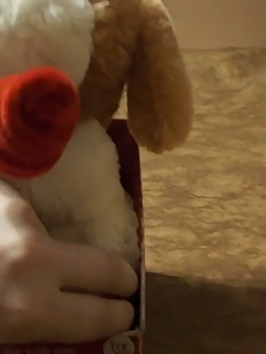 Animated Plush Valentine Dog Sings This Old Heart Of Mine - Video 1 of 1