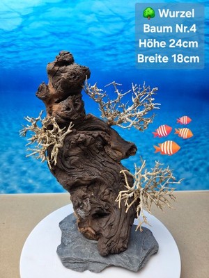   TOP Aquarium Mopani Wurzel   Bonsai Baum auf Schieferplatte