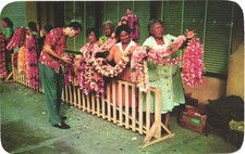 Honolulu Hawaii Lei Sellers Orchids Gardenias Frangi-pani Vintage Postcard