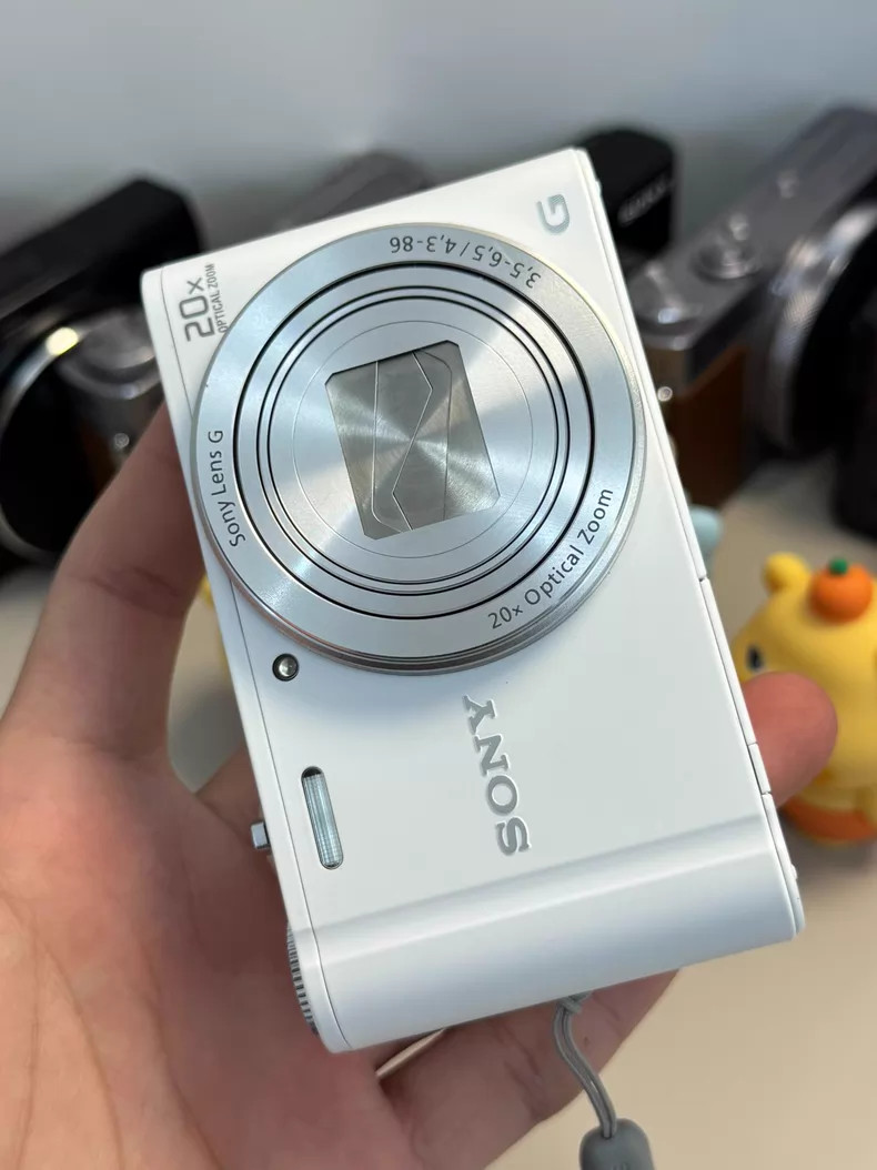SONY Cyber-shot DSC-WX300 18.2MP 20x Zoom Compact Digital Camera