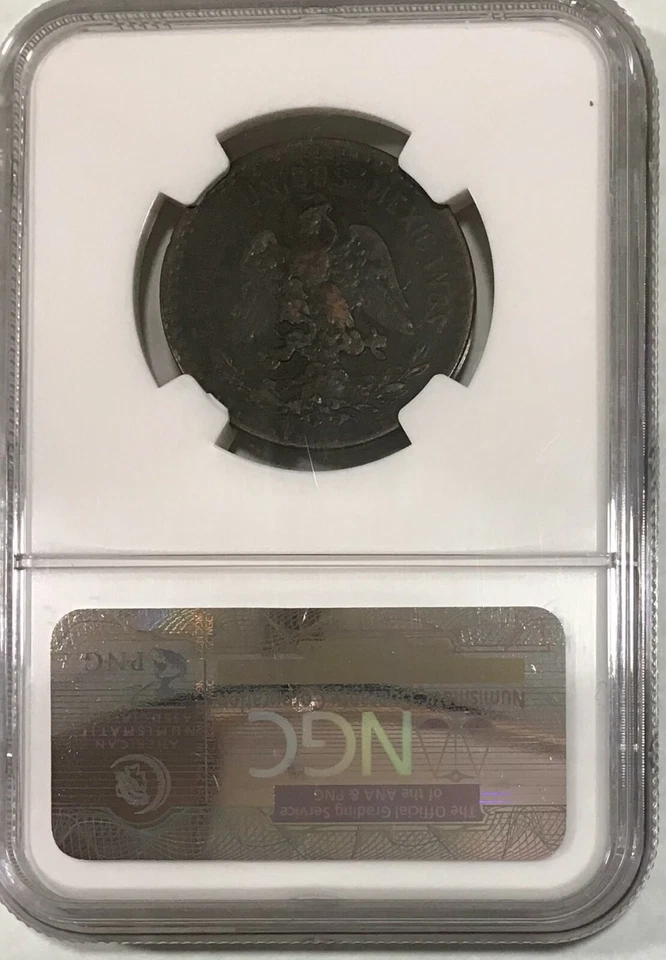 1918 Mexico 5 centavos NGC XF Details Bronze 28mm KM 422 (C000227) - Image 4 of 4