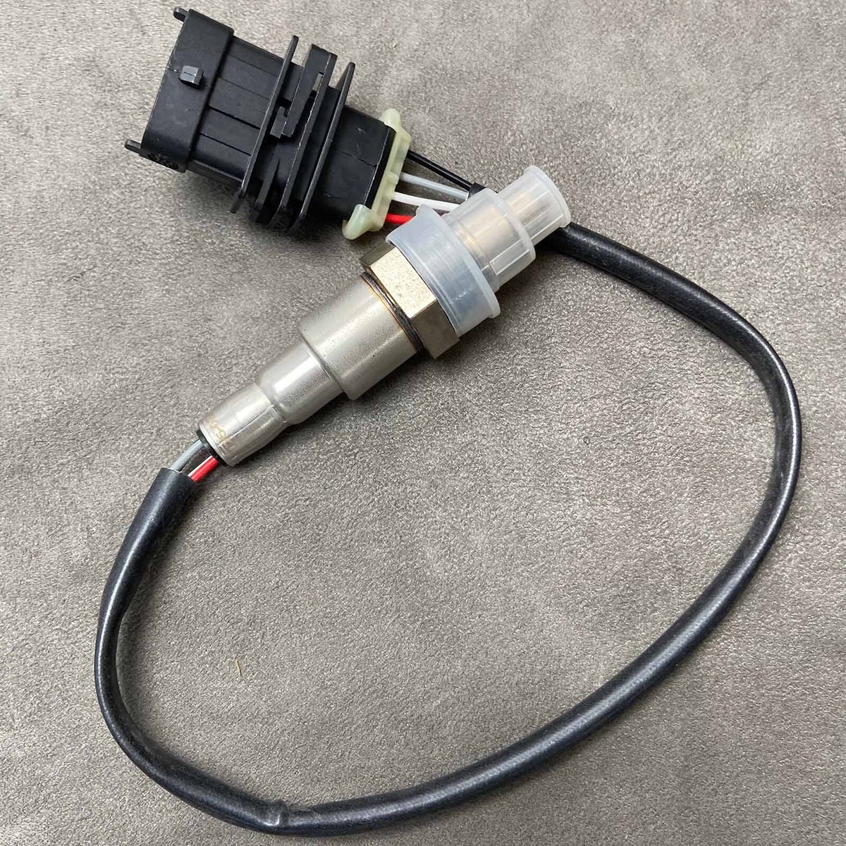 New 55214491B Oxygen Sensor for Ducati DUCATI 1260 950 1200 | eBay