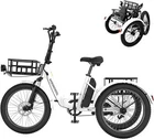 20" Fat Tire Foldable Electric Trike 1000W Motor 48V Battery Electric Tricycle