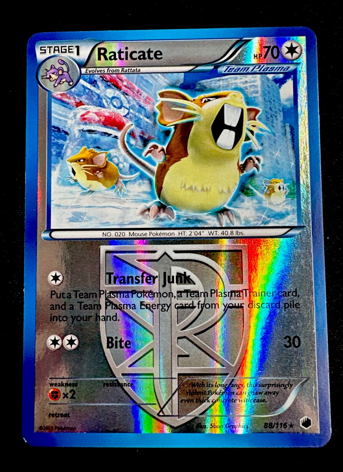 Raticate Plasma Freeze 88/116 LP Reverse Holo Rare Pokemon TCG Light Play