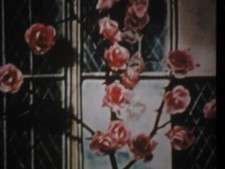 16mm Sleeping Beauty Briar- Rose 1990 Low Fade 800'