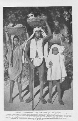 FRISCHER GEMÜSEKOPF KÖRBE MATHERN EINGEBORENE um 1920 FOTO ILLUSTRATION DRUCK