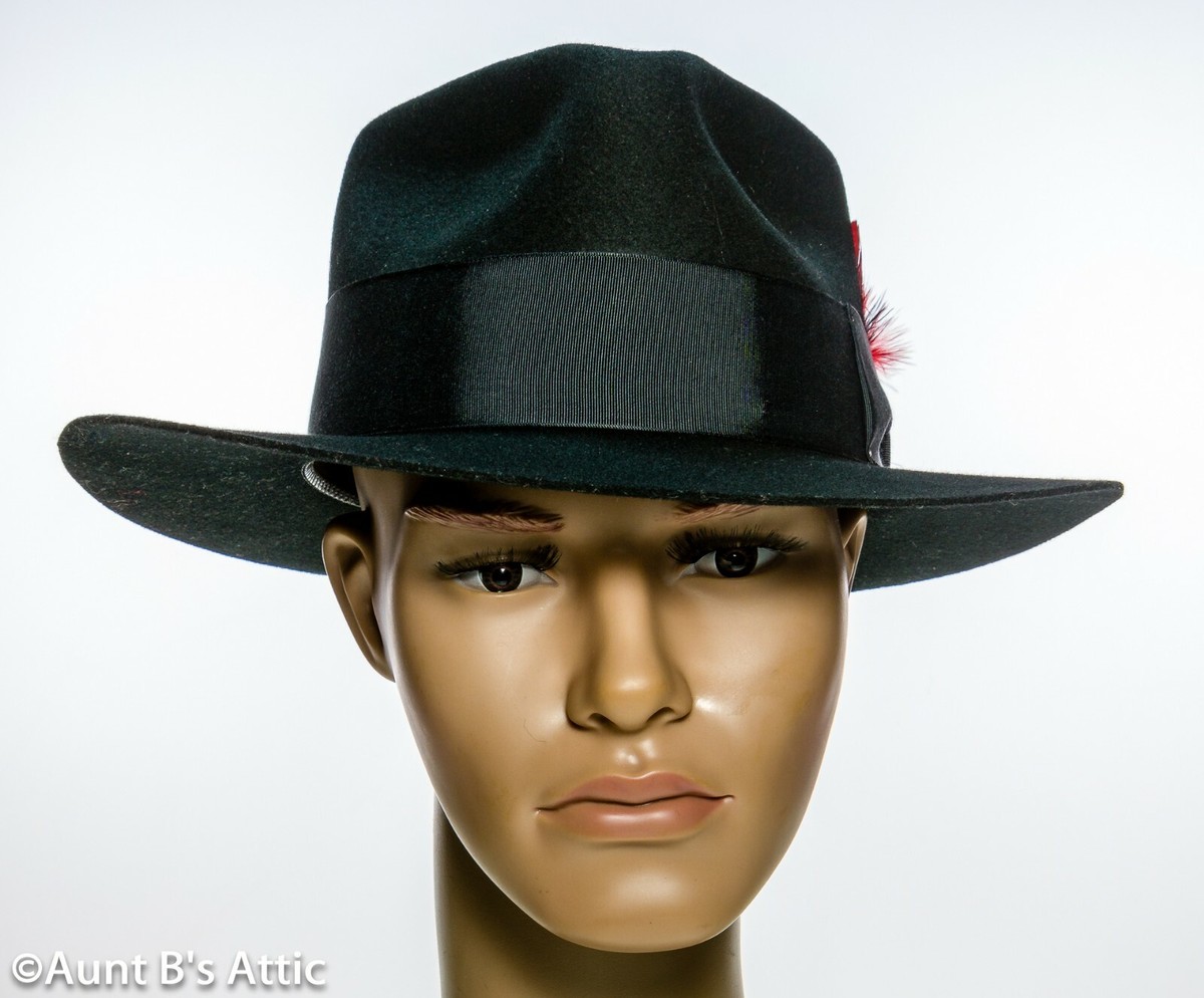 Fedora Hat 20 display picture 1