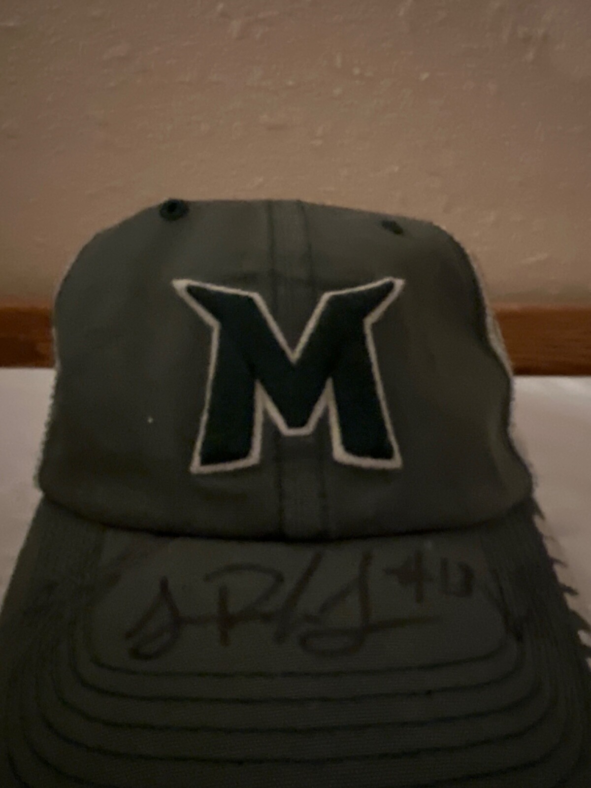 mallards hat - image 1