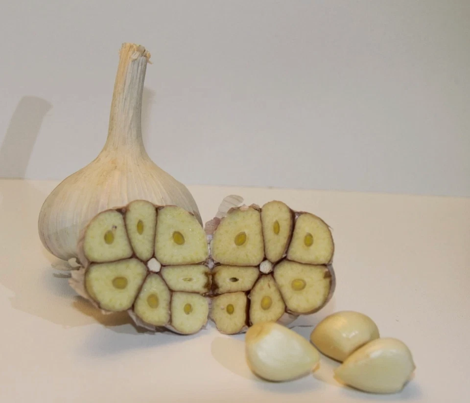 Knoblauch Ljubascha – 1 kg (ca. 16–30 Knollen) für nur 17,49 € 🧄 - Bild 4 von 4