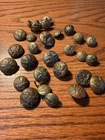29 Civil War Original Union Army Buttons