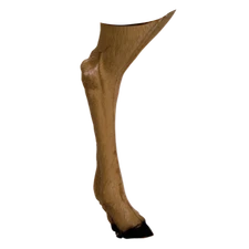 New Delta McKenzie Antelope 3D Archery Target Replacement Back Legs