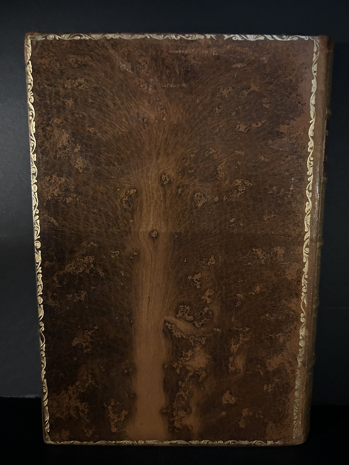 Picture 4 of 22