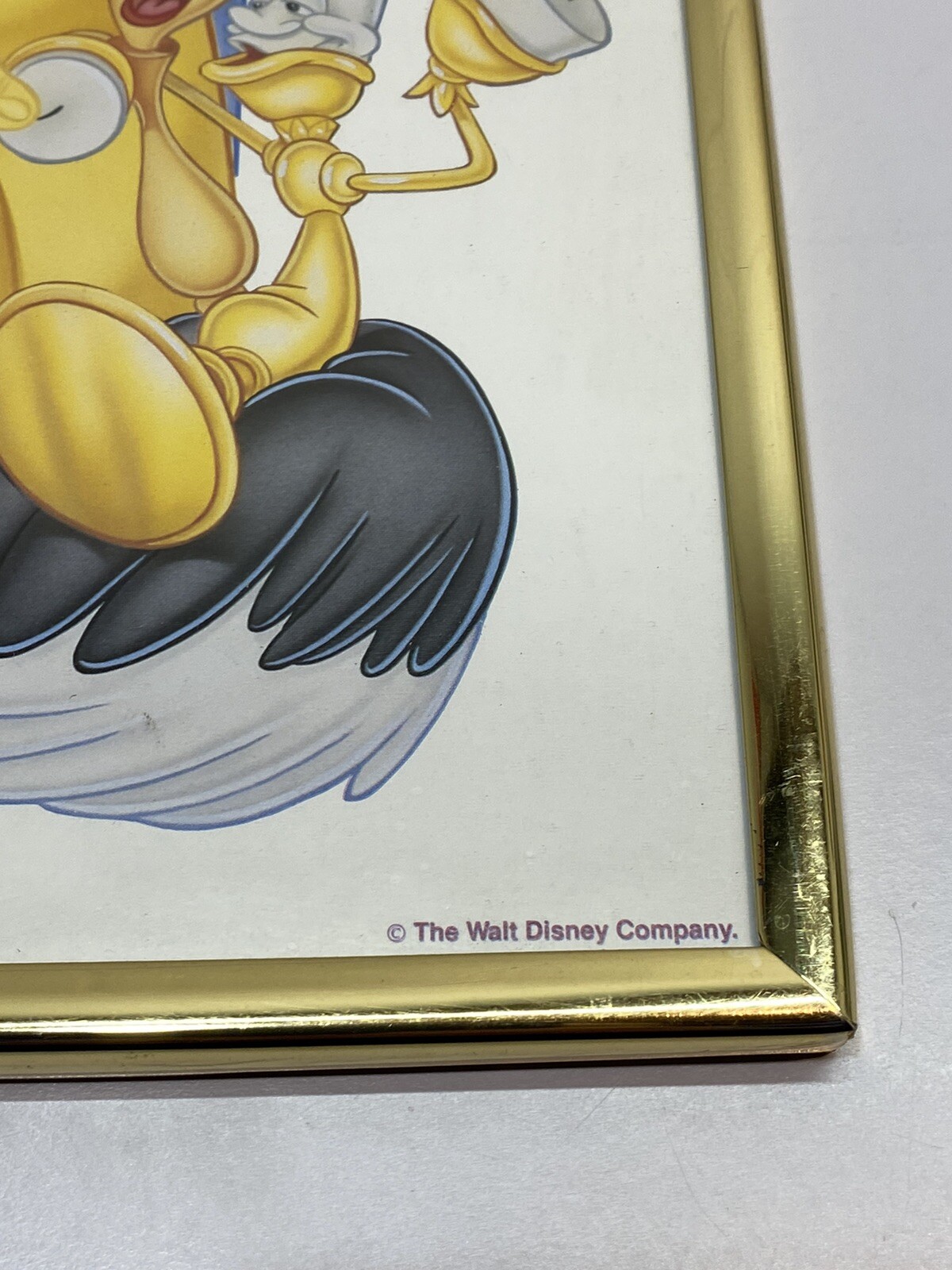 Picture 4 of 5