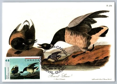 Canada 2003 John James Audubon FDC Maxi Card w/Pictorial Cancel Brant Goose