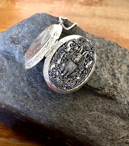 Bunny Rabbit Locket Necklace Art Nouveau Pillbox Pendant, Sterling Silver Chain - Picture 2 of 6