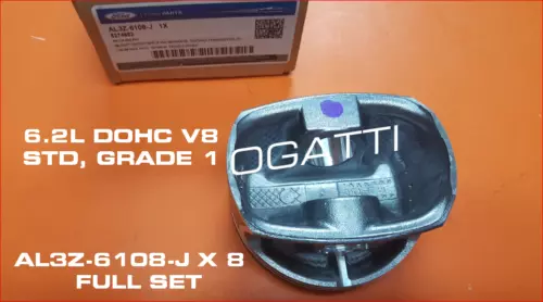BRAND NEW OEM PISTON FULL SET 6.2L DOHC F150-250-350-450 2011-2015  AL3Z-6108-J