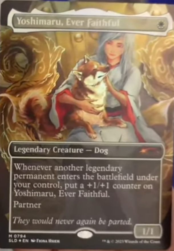 MTG Secret Lair Commander Deck: Raining Cats and Dogs MTG Secret Lair Commander Deck: Raining Cats and Dogs