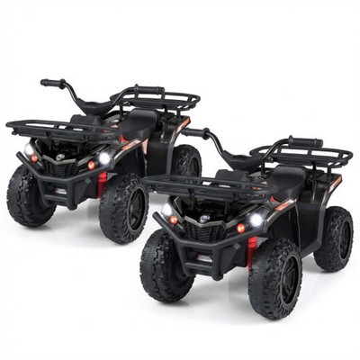24V Electric Ride On Quad with LED Headlights-Black-2 Pieces - Color: (2 pieces)