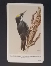 General Cigar Company Trading Card - No. 8 Black-Backed Three-Toed Woodpecker 1