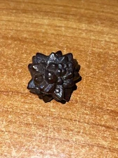 Egyptian Prophecy Stone Stalactic Pseudomorph