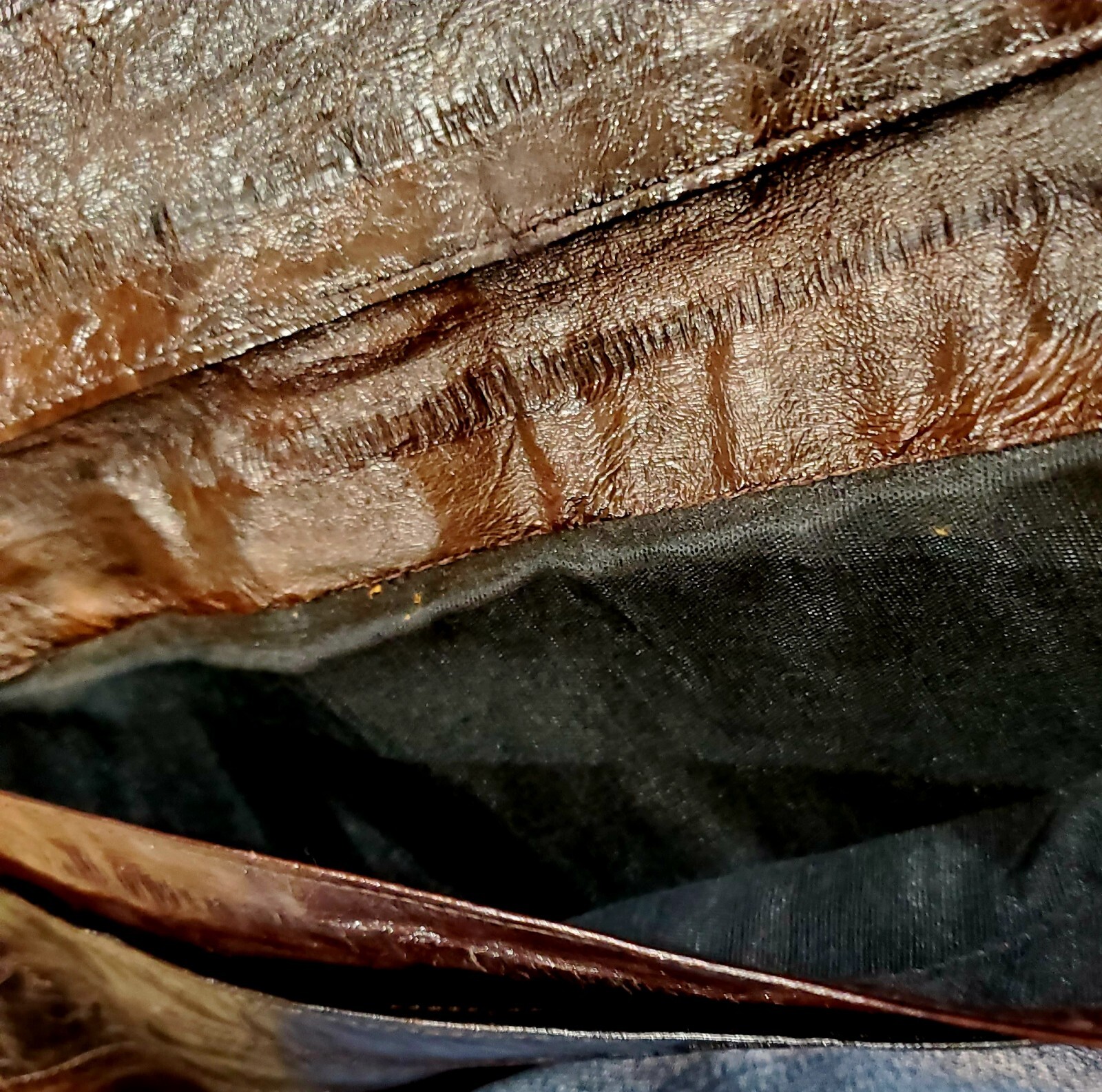 Foto 7 di 7