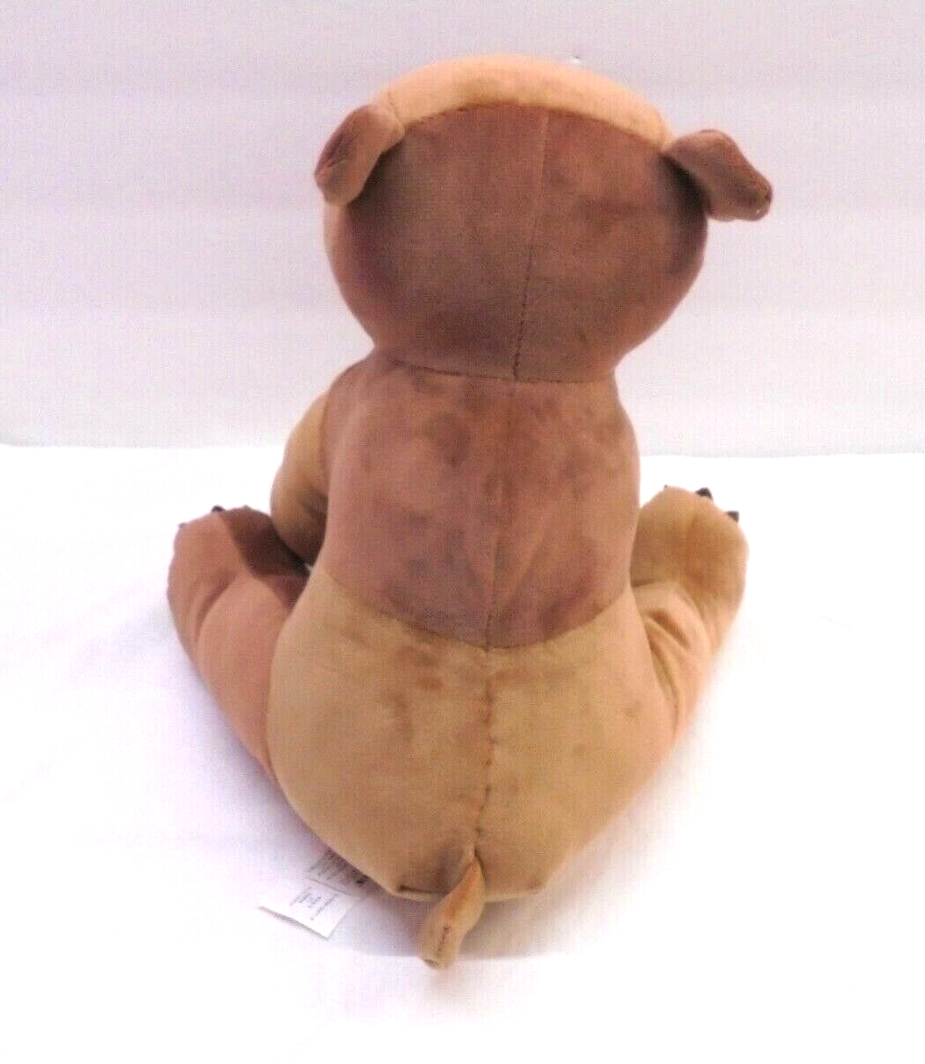【値下げしました】Eric Carle Brown Bear ぬいぐるみ絵本 Eric Carle Brown Bear Stuffed Animal 2021 Plush 10