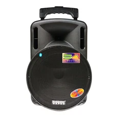 New 15 Inch Portable Trolley Speaker with Microphone Loud Sound and Super Bass