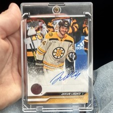 Upper Deck 2023-24 Jakub Lauko Boston Bruins Auto Snow Spray Card #515