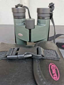 kowa bd 8x25
