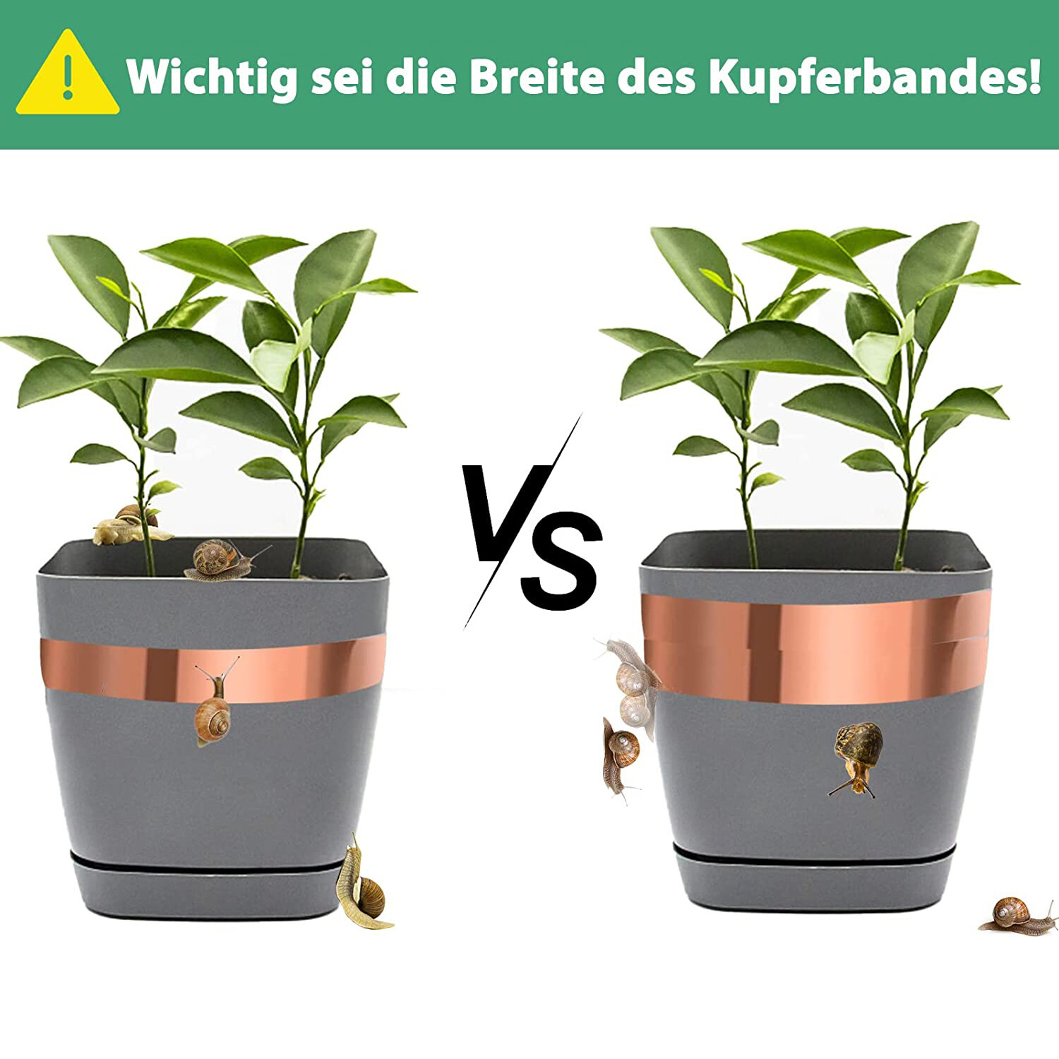 Kupferband Selbstklebend Kupferband Gegen Schnecken 25m x 50mm