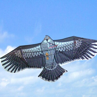 60'' huge Eagle Kite color Outdoor Toy Sport Fun Gift K10