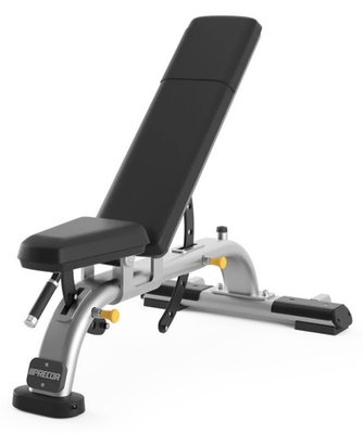 #ad Precor Icarian Multi Position Bench Adjustable Dumbbell Bench Phoenix AZ $585.00