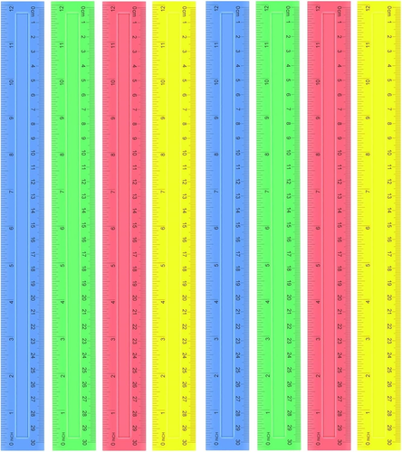 8 Pack Color Transparent Ruler, Plastic Rulers 12 Inch, Assorted Color ...