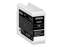 Epson Tintenpatrone C13T46S100 Photo Black