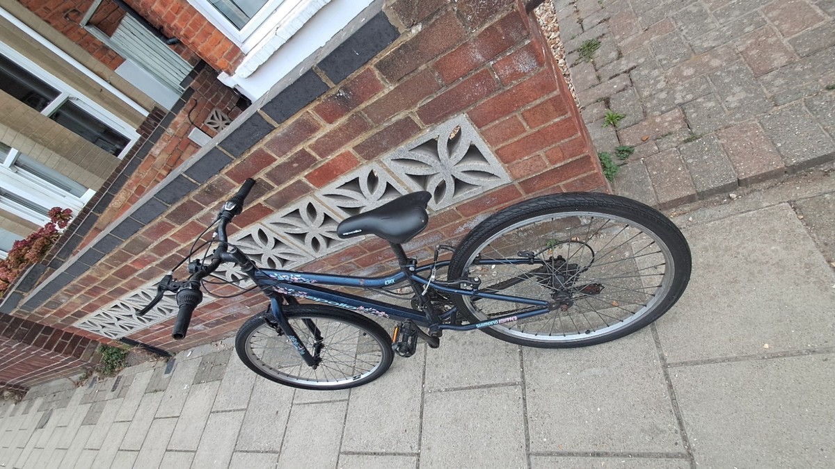 Girls Apollo Kinx Junior Hybrid Bike -24