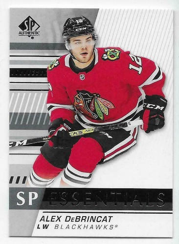 19/20 2019 SP AUTHENTIC HOCKEY ESSENTIALS INSERT CARDS SPE-XX U-Pick From List - 第 3/22 張圖片