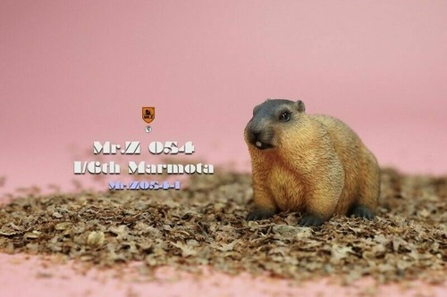 1/6 Mr.Z Scene Props Marmot Animal Statue Guinea Pig Model Fit 12" Figure Doll - Picture 6 of 6