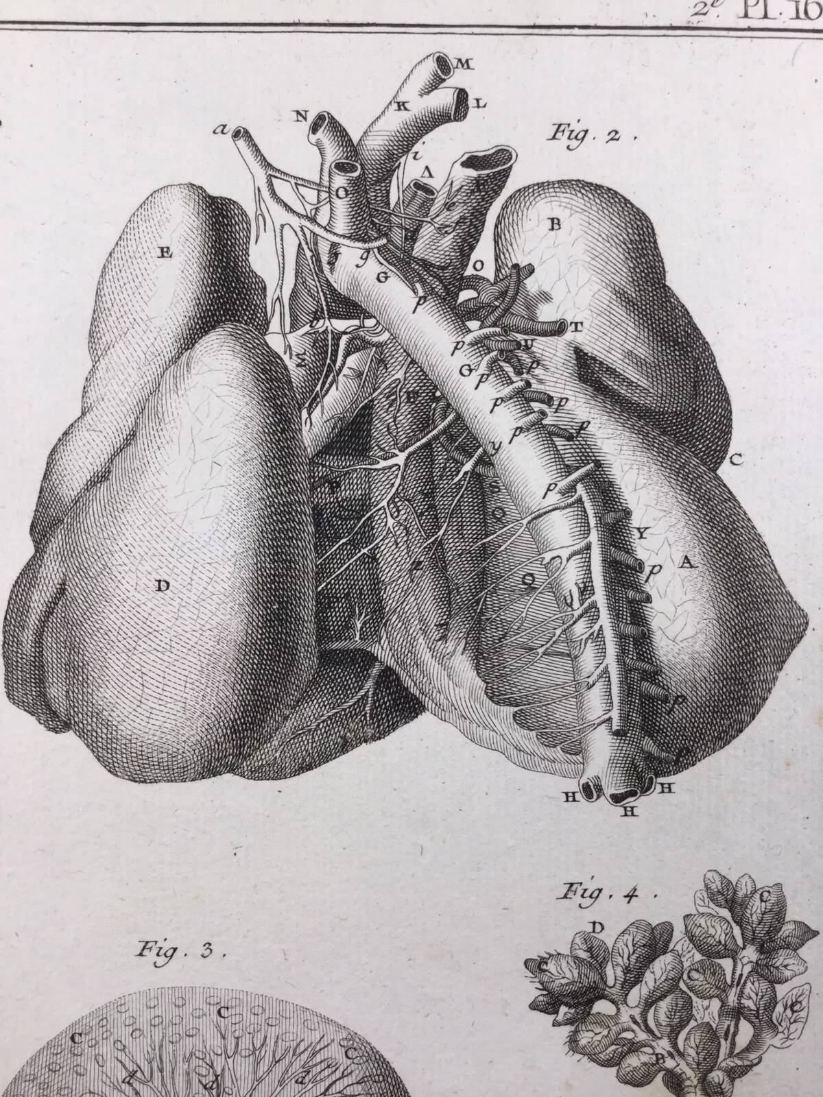 Foto 2 di 3