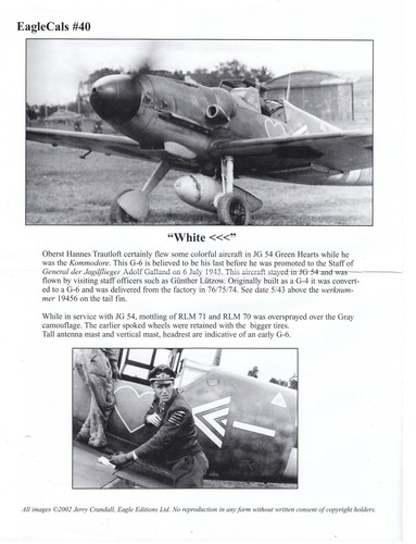 EAGLECALS DECALS 1/32 Messerschmitt Bf 109G-6 8./JG 1 JG 11 9./JG 54 (Luftwaffe) - Imagen 6 de 10