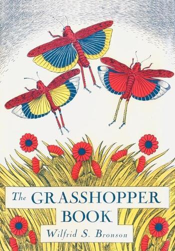 Thumbnail - Wilfrid S Bronson The Grasshopper Book (taschenbuch)