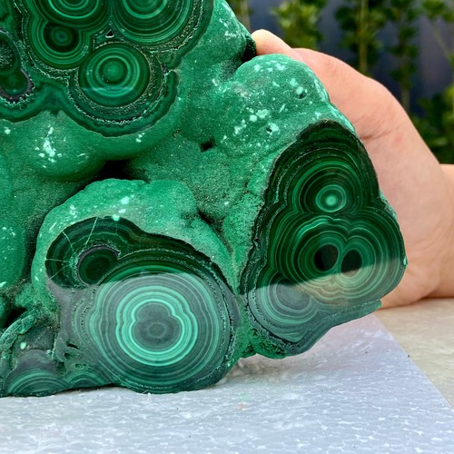 3,1 libbre malachite lucida naturale occhio di gatto trasparente grappolo minerale grezzo campione - Foto 4 di 15